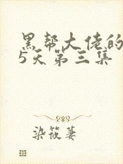 黑帮大佬的365天第三集