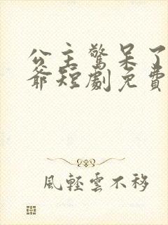 公主惊呆了驸马爷短剧免费观看全集