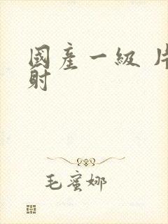 国产一级 片内射