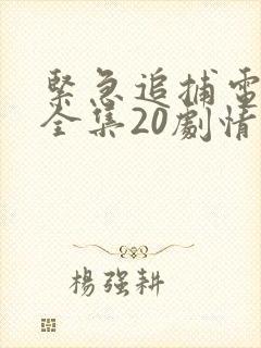 紧急追捕电视剧全集20剧情分集介绍封面