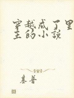 穿越成了里番男主的小说