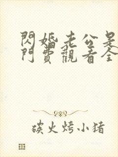 闪婚老公是总豪门费观看全集