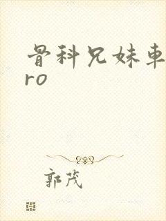 骨科兄妹车多pro