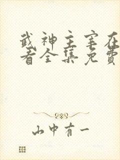 武神主宰在线观看全集免费高清播放