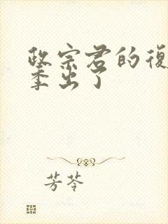 政宗君的复仇2季出了