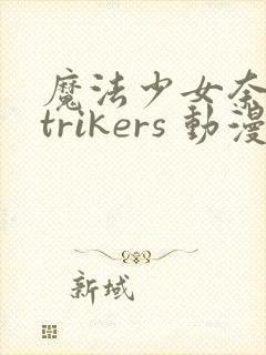 魔法少女奈叶strikers 动漫