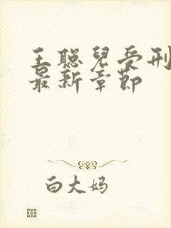 王聪儿受刑小说最新章节