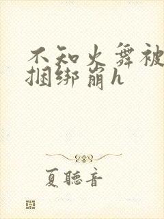 不知火舞被羞辱捆绑崩h