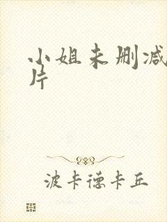 小姐未删减版原片