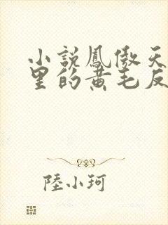 小说凤傲天小说里的黄毛反派也想幸福封面