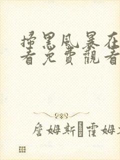 扫黑风暴在线观看免费观看