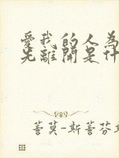 爱我的人为什么先离开是什么歌