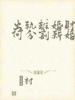 出轨离婚财产如何分割新婚姻法2021