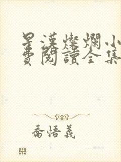 星汉灿烂小说免费阅读全集