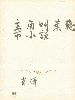 主角叫叶飞的都市小说