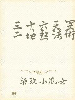 三十六天罡七十二地煞法术封面