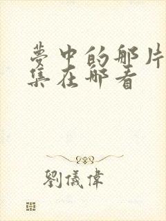 梦中的那片海全集在哪看