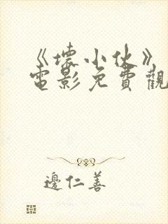 《坏小伙》美国电影免费观看封面