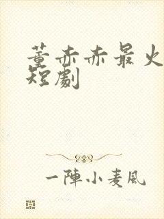 董赤赤最火十部短剧