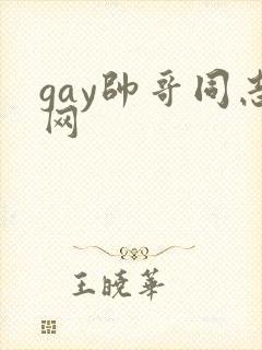 gay帅哥同志网