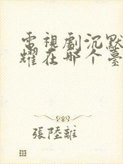 电视剧沉默的荣耀在哪个台播出