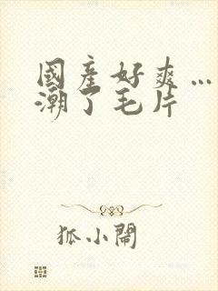 国产好爽…又高潮了毛片