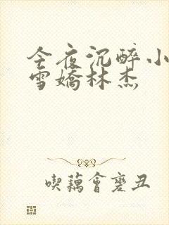 今夜沉醉小说段雪娇林杰