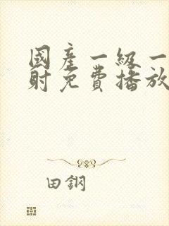 国产一级一片内射免费播放