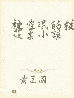 被催眠的校花高莜柔小说