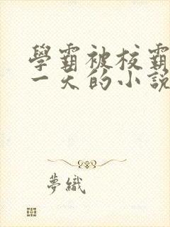 学霸被校霸罚了一天的小说封面