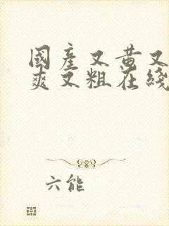 国产又黄又大又爽又粗在线网站