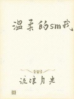 温柔的sm我