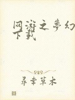 网游之梦幻现实下载