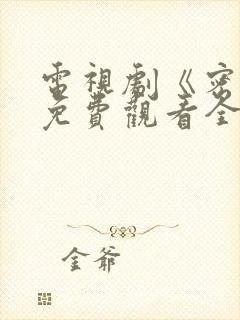 电视剧《密战》免费观看全集