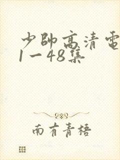 少帅高清电视剧1一48集