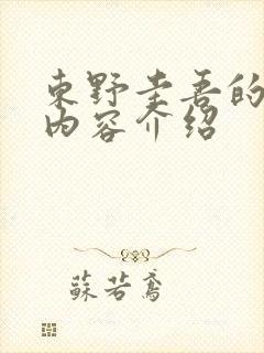 东野圭吾的秘密内容介绍封面