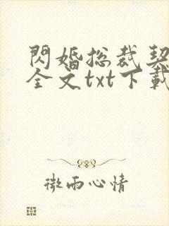 闪婚总裁契约妻全文txt下载