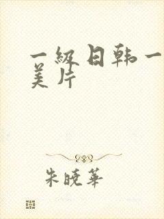 一级日韩一级欧美片