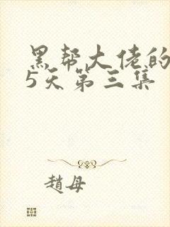 黑帮大佬的365天第三集