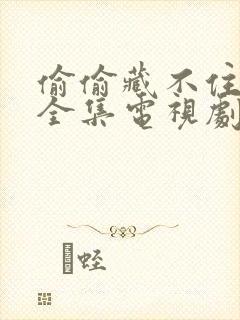 偷偷藏不住免费全集电视剧