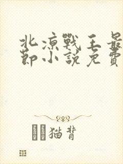 北凉战王最新章节小说免费阅读封面