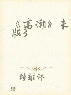 《高潮》未删减版3封面