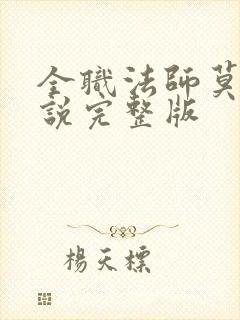 全职法师莫凡小说完整版