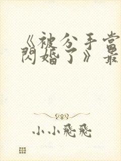 《被分手当天我闪婚了》最新章节列封面