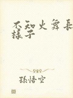 不知火舞长什么样子