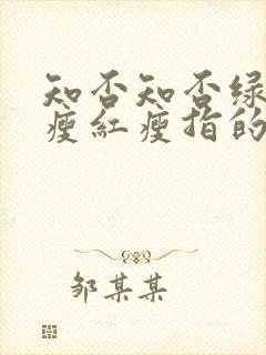 知否知否绿肥红瘦红瘦指的是封面