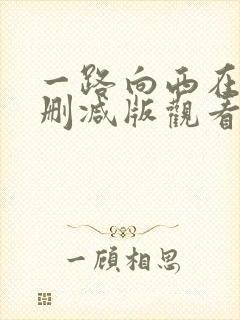 一路向西在线无删减版观看封面