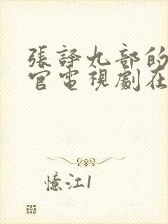 张译九部的检察官电视剧在线观看免费