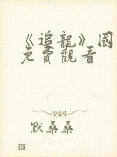 《追龙》国语版免费观看