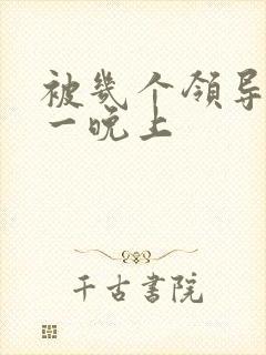 被几个领导玩弄一晚上